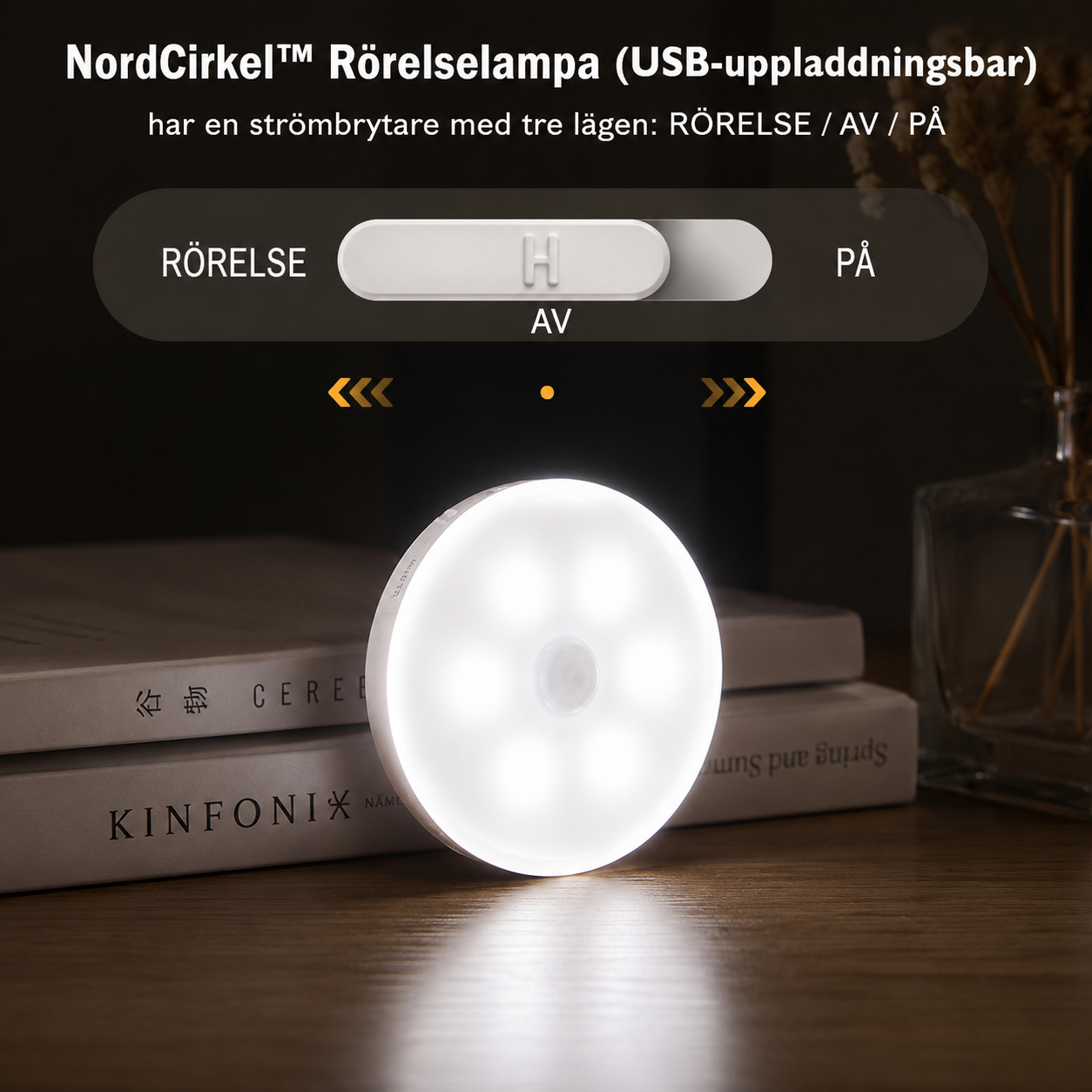 NordCirkel - Rörelselampa
